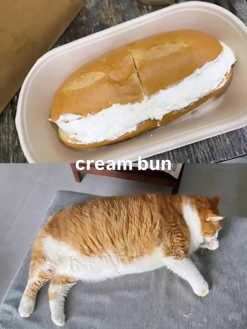 cream bun