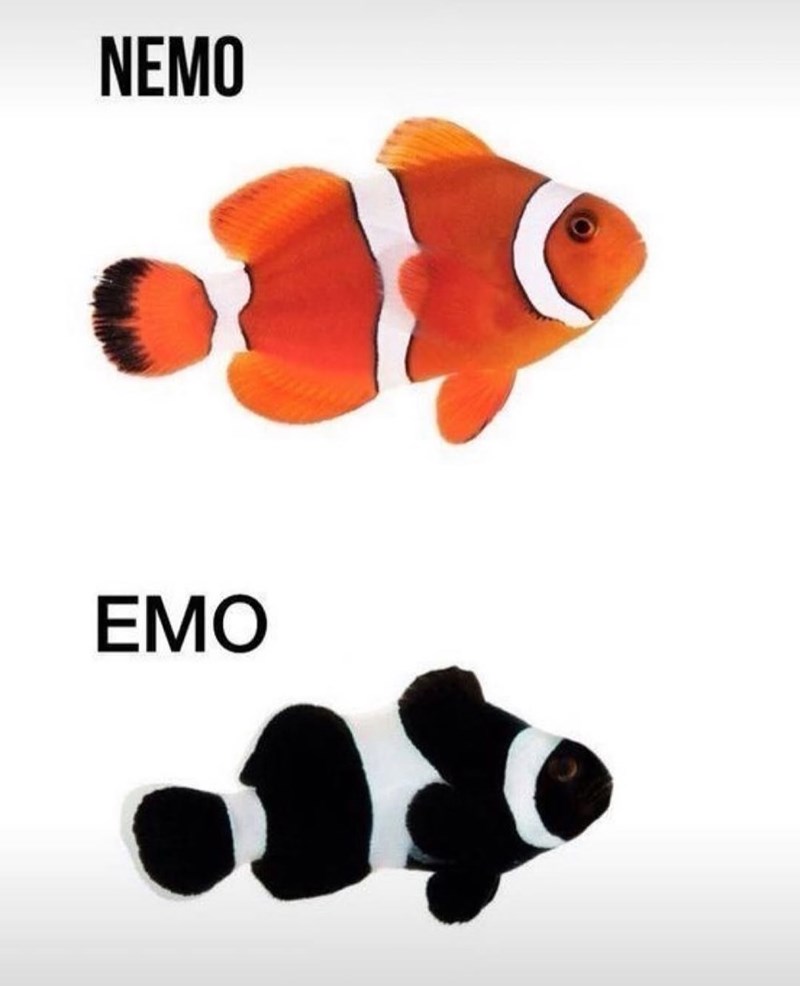 NEMO EMO