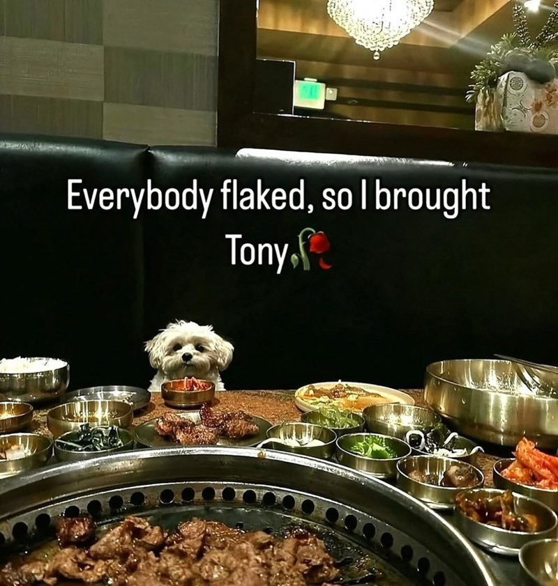 Everybody flaked, so I brought Tony.
