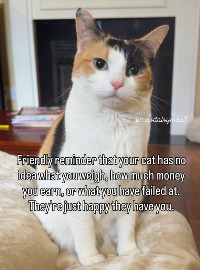 @missdaisymae3 Friendly reminder that your cat has no idea what you weigh, how much money you earn, or what you have failed at. They're just happy they have you.
