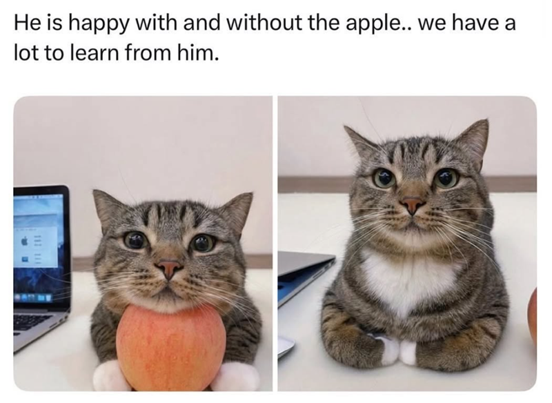 He is happy with and without the apple.. we have a lot to learn from him. 111 111