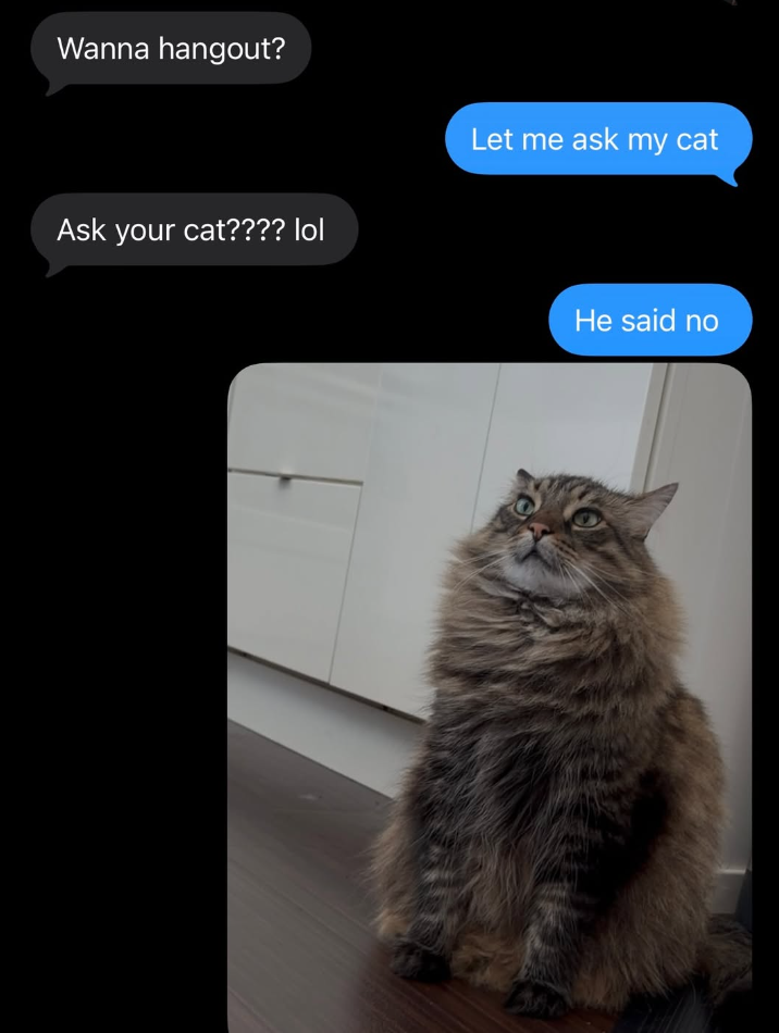 Wanna hangout? Ask your cat???? lol Let me ask my cat He said no