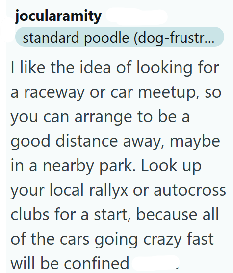 jocularamity standard poodle (dog-frustr... I like the idea of looking for a raceway or car meetup, so you can arrange to be a good distance away, maybe in a nearby park. Look up your local rallyx or autocross clubs for a start, because all of the cars going crazy fast will be confined