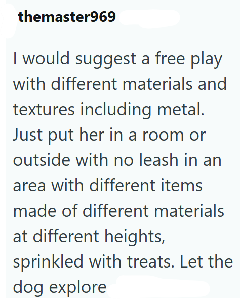 themaster969 I would suggest a free play with different materials and textures including metal. Just put her in a room or outside with no leash in an area with different items made of different materials at different heights, sprinkled with treats. Let the dog explore