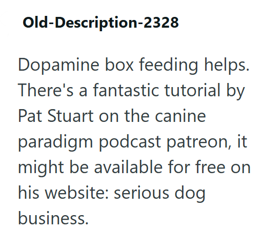 Old-Description-2328 Dopamine box feeding helps. There's a fantastic tutorial by Pat Stuart on the canine paradigm podcast patreon, it might be available for free on his website: serious dog business.