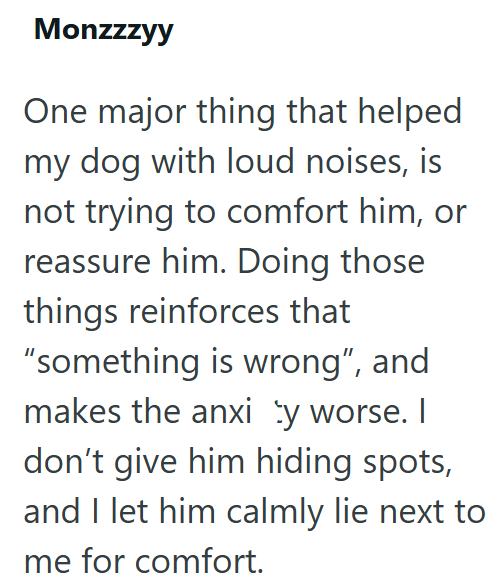 Monzzzyy One major thing that helped. my dog with loud noises, is not trying to comfort him, or reassure him. Doing those things reinforces that "something is wrong", and makes the anxi by worse. I don't give him hiding spots, and I let him calmly lie next to me for comfort.
