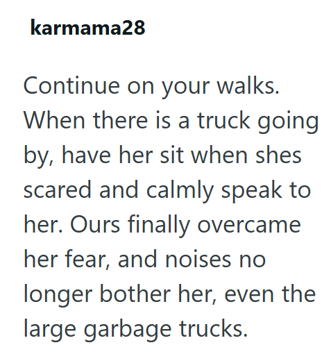karmama28 Continue on your walks. When there is a truck going by, have her sit when shes scared and calmly speak to her. Ours finally overcame her fear, and noises no longer bother her, even the large garbage trucks.