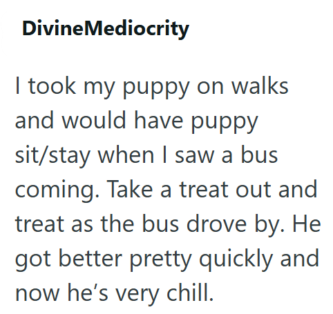 DivineMediocrity I took my puppy on walks and would have puppy sit/stay when I saw a bus coming. Take a treat out and treat as the bus drove by. He got better pretty quickly and now he's very chill.