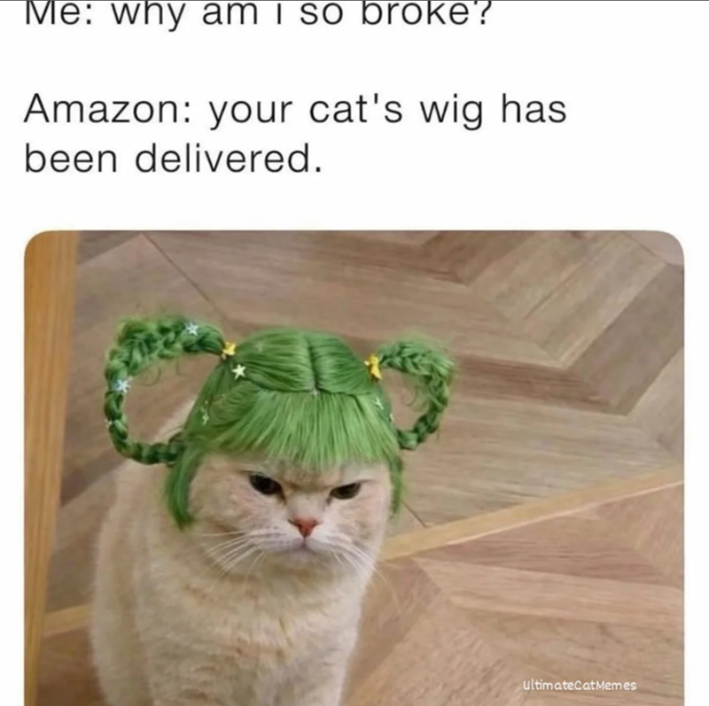 Me: why am i so broke? Amazon: your cat's wig has been delivered. ultimateCatMemes