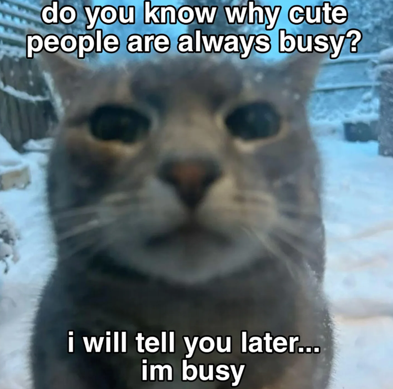 do you know why cute people are always busy? i will tell you later... im busy