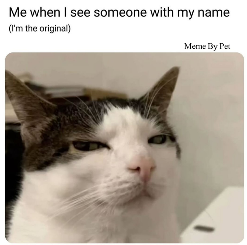 Me when I see someone with my name (I'm the original) Meme By Pet