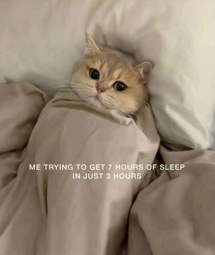ME TRYING TO GET 7 HOURS OF SLEEP IN JUST 3 HOURS