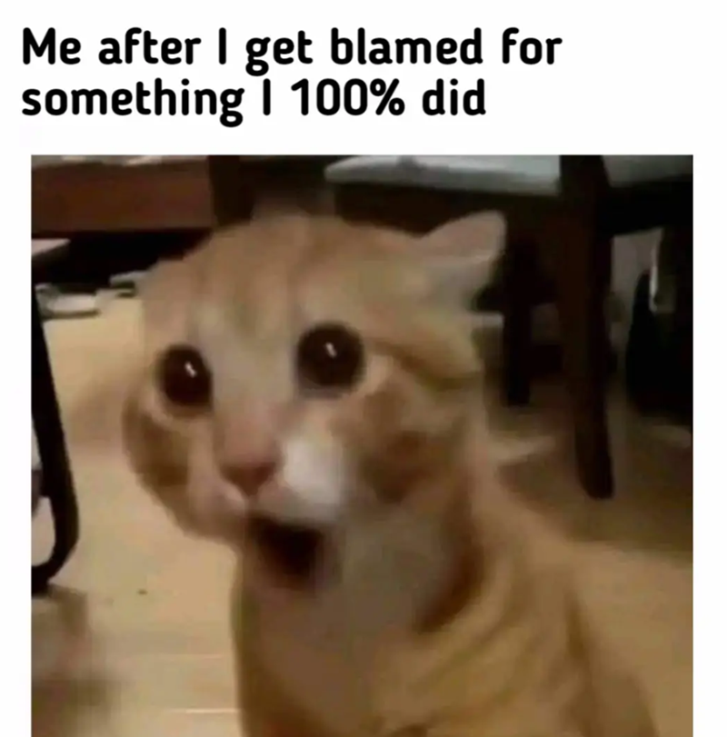 Me after I get blamed for something | 100% did
