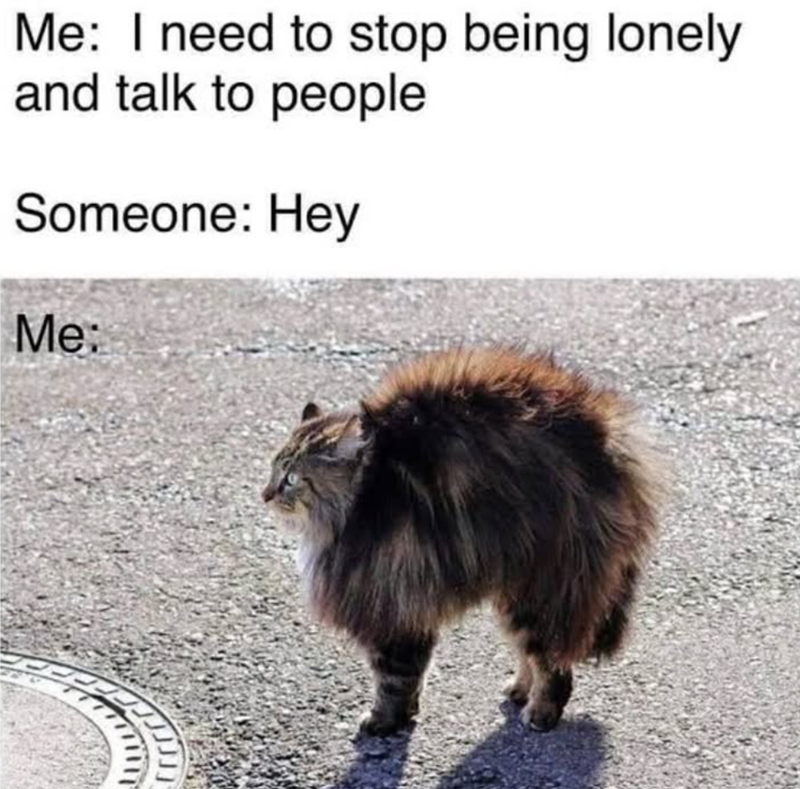 Me: I need to stop being lonely and talk to people Someone: Hey Me:
