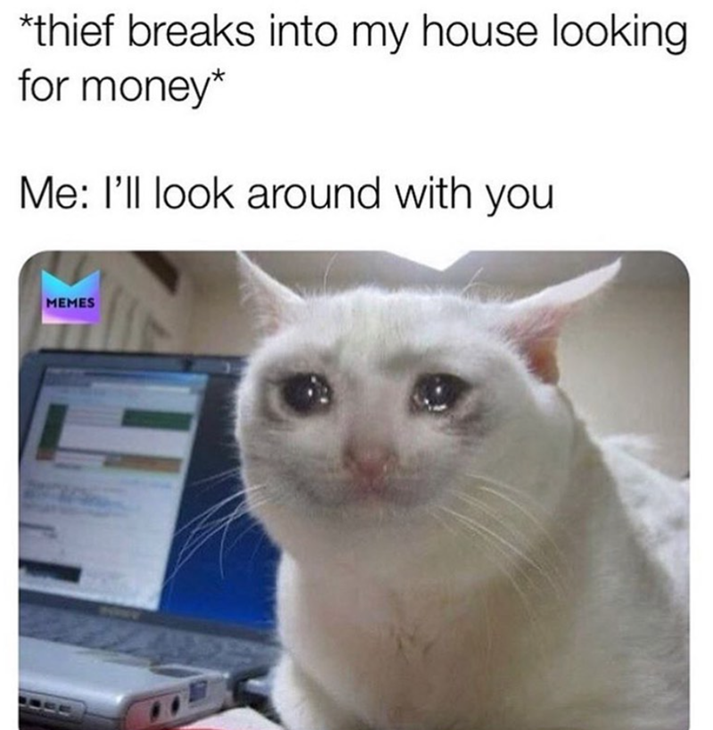 *thief breaks into my house looking for money* Me: I'll look around with you MEMES