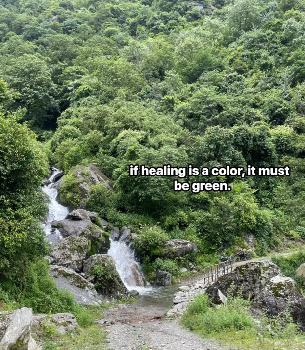 if healing is a color, it must be green: