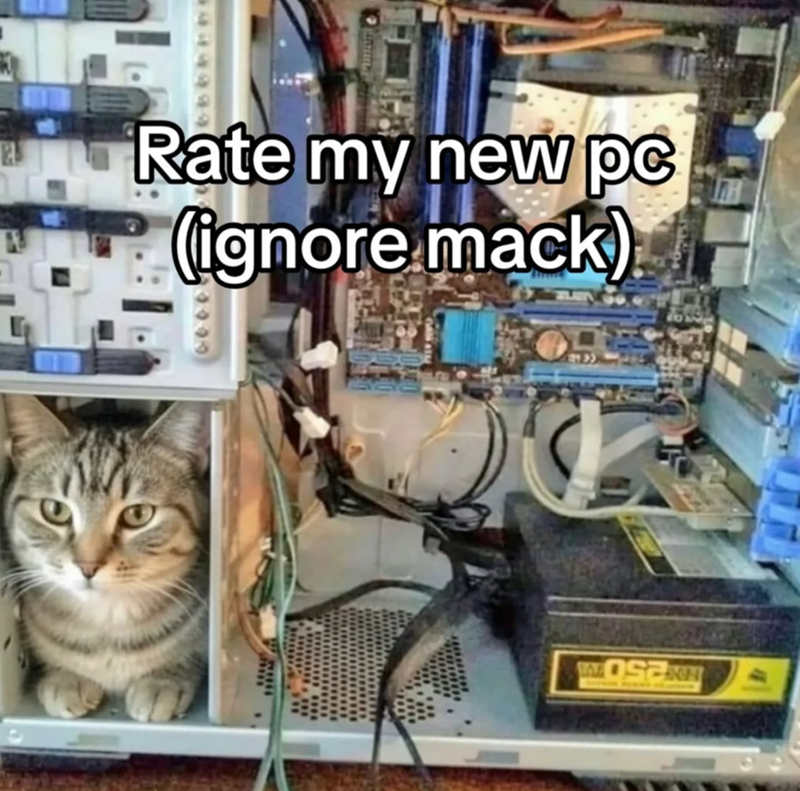 NIN 250 Rate my new pc (ignore mack)