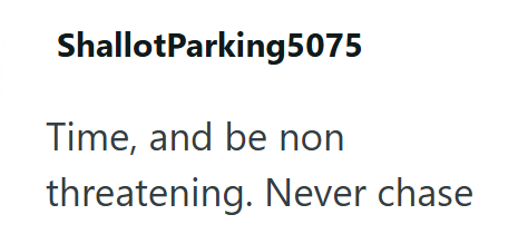 ShallotParking5075 Time, and be non threatening. Never chase