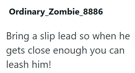 Ordinary_Zombie_8886 Bring a slip lead so when he gets close enough you can leash him!