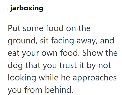 jarboxing Put some food on the ground, sit facing away, and eat your own food. Show the dog that you trust it by not looking while he approaches you from behind.