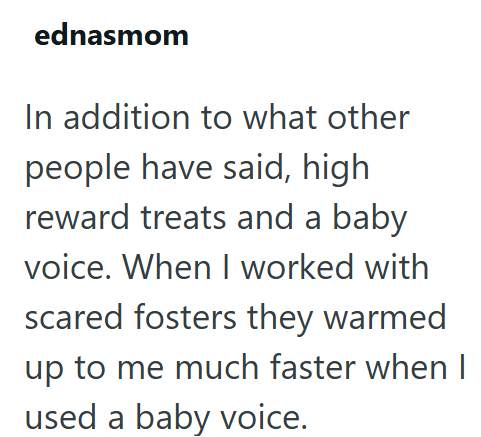 ednasmom In addition to what other people have said, high reward treats and a baby voice. When I worked with scared fosters they warmed up to me much faster when I used a baby voice.
