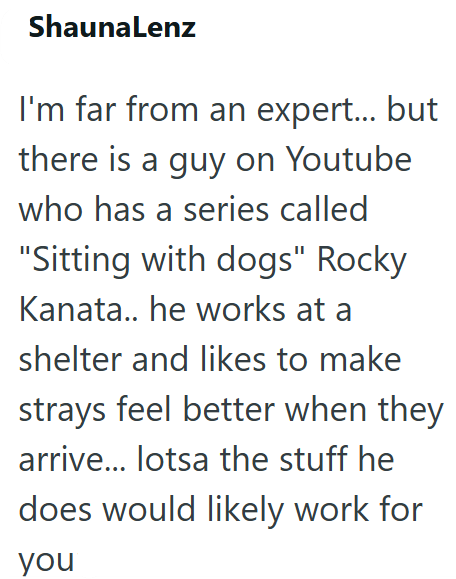 ShaunaLenz I'm far from an expert... but there is a guy on Youtube who has a series called "Sitting with dogs" Rocky Kanata.. he works at a shelter and likes to make strays feel better when they arrive... lotsa the stuff he does would likely work for you