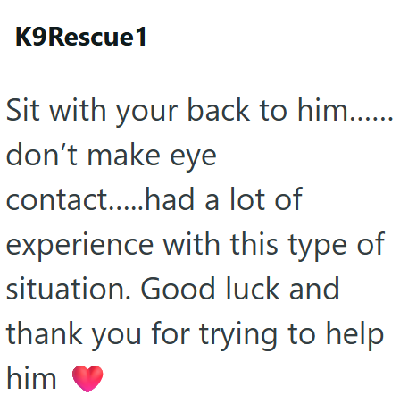 K9Rescue1 Sit with your back to him....... don't make eye contact.....had a lot of experience with this type of situation. Good luck and thank you for trying to help him