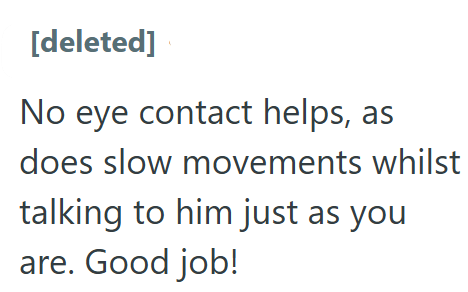 [deleted] No eye contact helps, as does slow movements whilst talking to him just as you are. Good job!