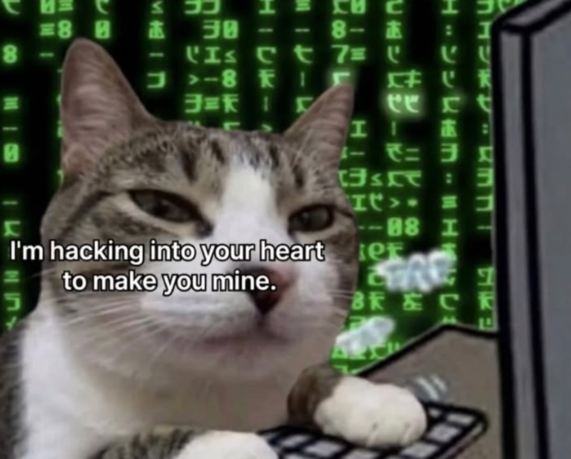 ココ 38--8- =8 B 838 8 B C I Is Ct 7= 1 J-8 FIF C ee c t I: ・ニ באת וun ערכות 3 I I'm hacking into your heart to make you mine. 5 It --88 e STAG BRECK ப