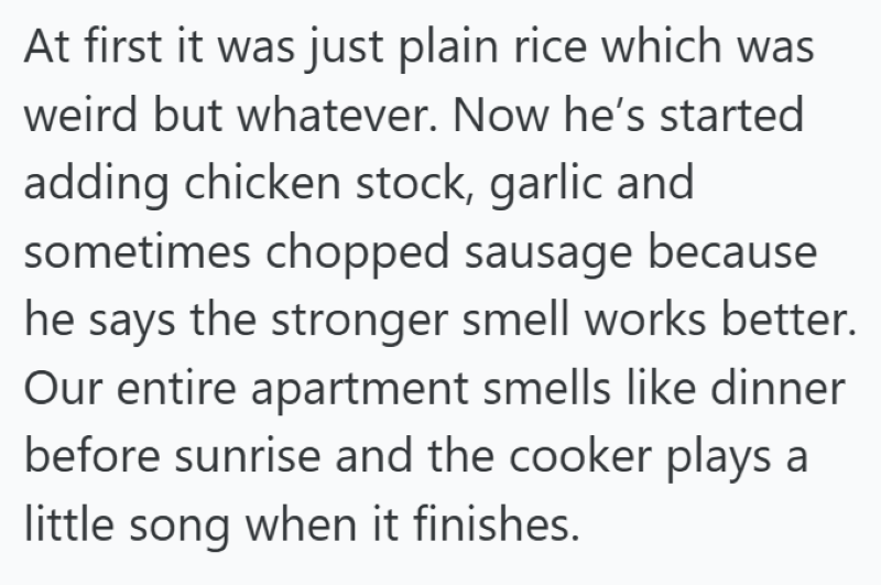 At first it was just plain rice which was weird but whatever. Now he's started adding chicken stock, garlic and sometimes chopped sausage because he says the stronger smell works better. Our entire apartment smells like dinner before sunrise and the cooker plays a little song when it finishes.