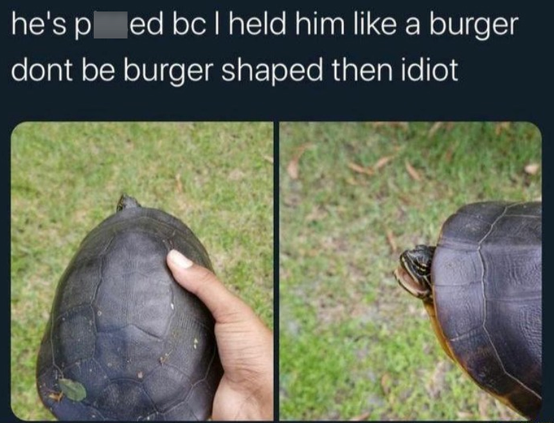 ed bc I held him like a burger he's pl dont be burger shaped then idiot