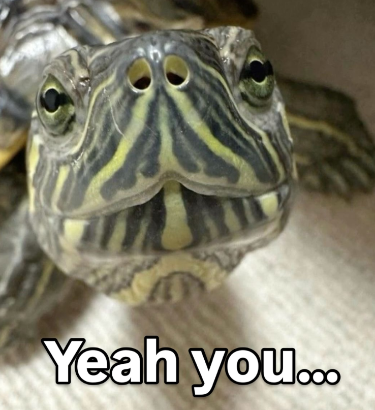 Yeah you...