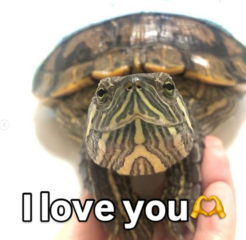 I love you