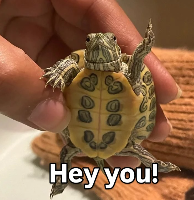 Hey you!