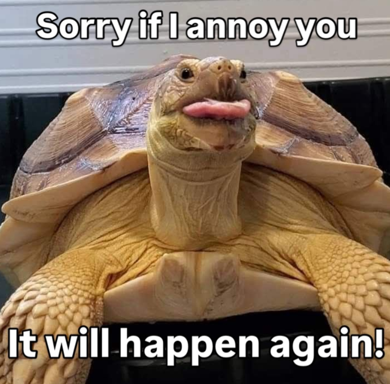 Sorry if I annoy you It will happen again!