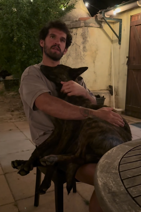 Cheezburger Image 10648470272