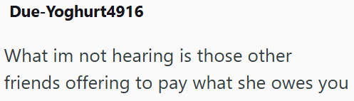 Due-Yoghurt4916 What im not hearing is those other friends offering to pay what she owes you