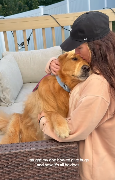 47 I taught my dog how to give hugs and now it's all he does