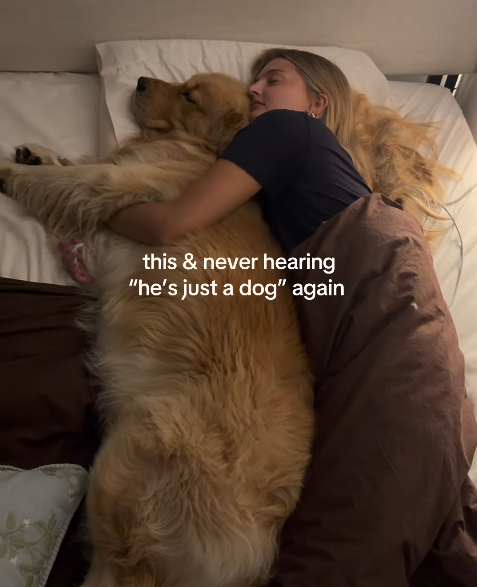 this & never hearing "he's just a dog" again