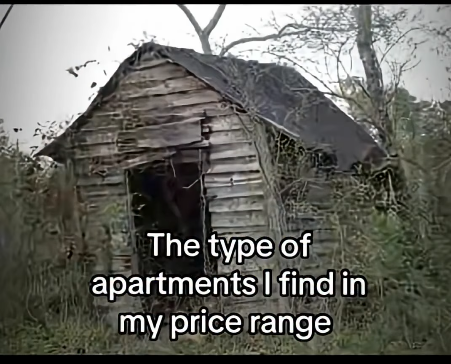 The type of apartments I find in my price range