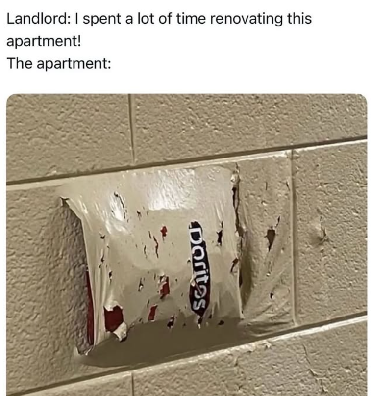 Landlord: I spent a lot of time renovating this apartment! The apartment: Dorites