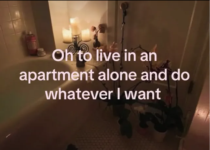 Oh to live in an apartment alone and do whatever I want