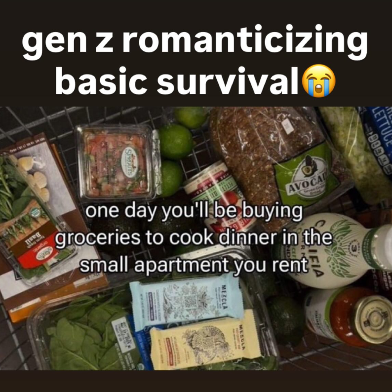 gen z romanticizing basic survival SPROUTS LETTU AVOCAL one day you'll be buying groceries to cook dinner in the small apartment you rent Пе EEM MEZCLA MESCLA co
