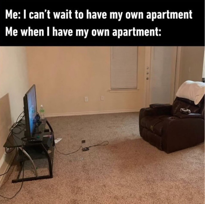 Me: I can't wait to have my own apartment Me when I have my own apartment: