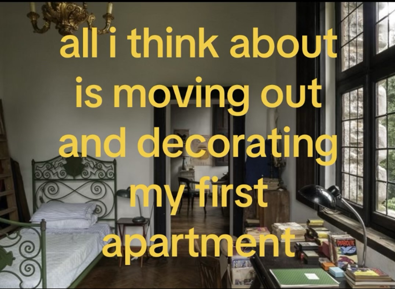 all i think about is moving out and decorating my first apartment DIABOLIK