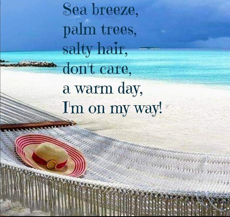 Sea breeze, palm trees, salty hair, don't care, a warm day, I'm on my way!