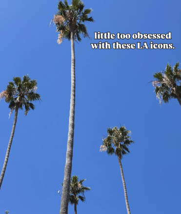 little too obsessed with these LA icons. 24