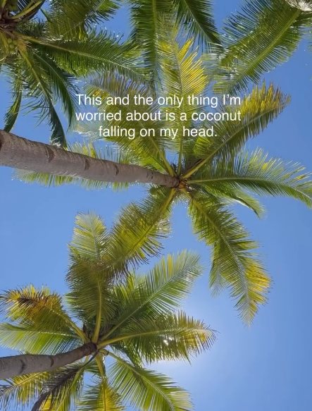 This and the only thing I'm worried about is a coconut falling on my head.