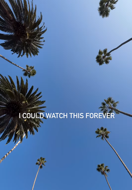 I COULD WATCH THIS FOREVER