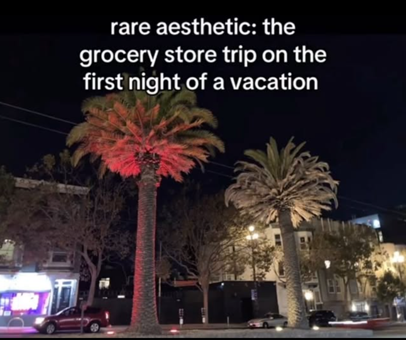 rare aesthetic: the grocery store trip on the first night of a vacation
